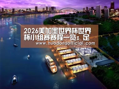 案例展示八