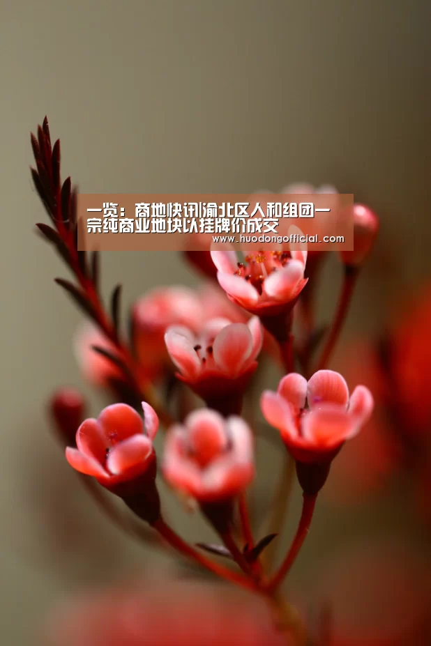 一览:商地快讯|渝北区人和组团一宗纯商业地块以挂牌价成交(图2) 活动
