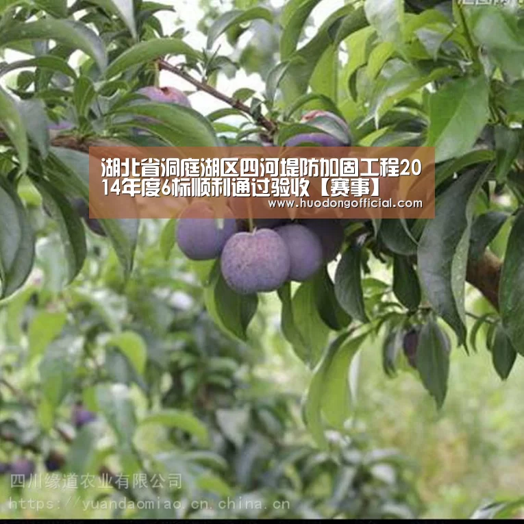 湖北省洞庭湖区四河堤防加固工程2014年度6标顺利通过验收【赛事】(图4) 赛程