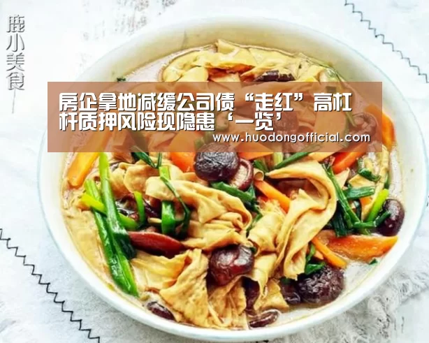 房企拿地减缓公司债“走红”高杠杆质押风险现隐患‘一览’(图1) 赛程
